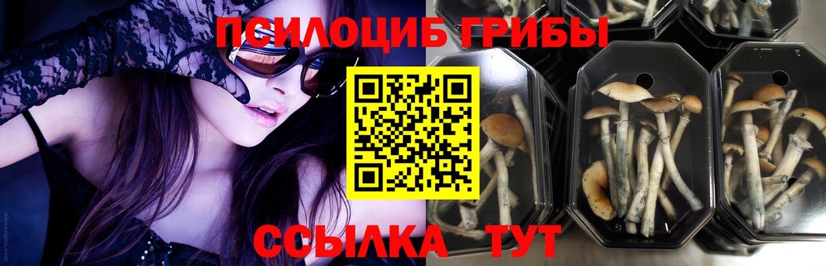 Галлюциногенные грибы ЛСД Екатеринбург