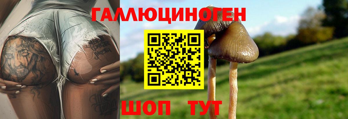 Екатеринбург  Галлюциногенные грибы Cubensis  Вход с VPN 